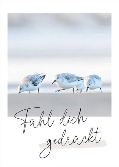 Bild: 4029856840796 | Unendlich geliebt - Postkartenset | Taschenbuch | 18 S. | 5584079
