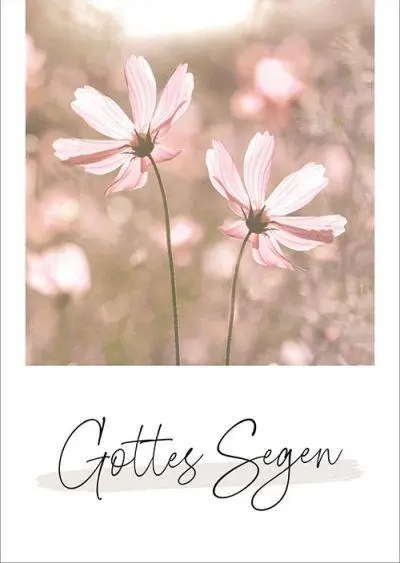 Bild: 4029856840796 | Unendlich geliebt - Postkartenset | Taschenbuch | 18 S. | 5584079
