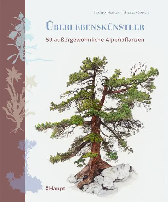 Cover: 9783258080796 | Überlebenskünstler | 50 außerordentliche Alpenpflanzen | Buch | 256 S.