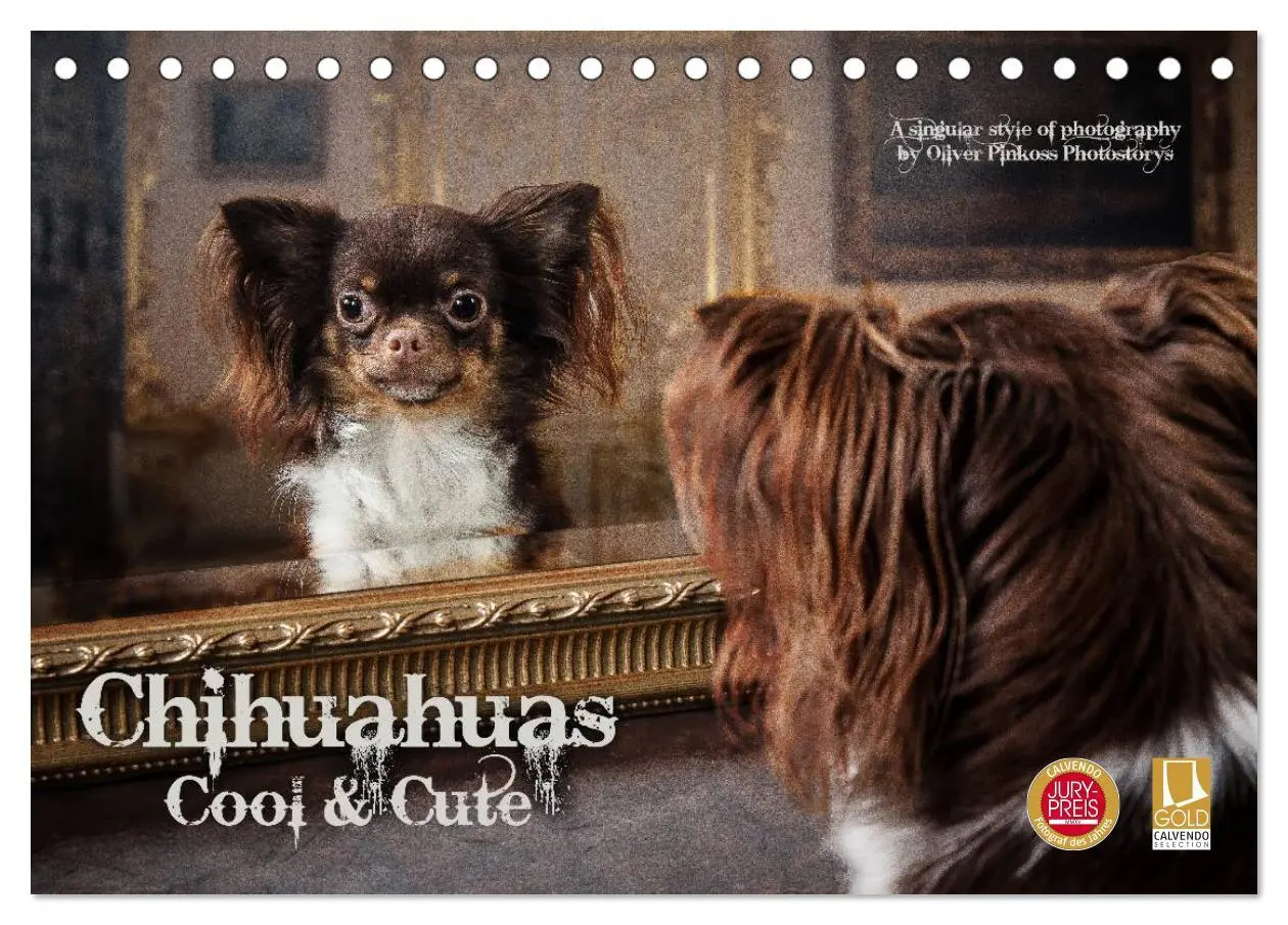 Cover: 9783516160796 | Chihuahuas - Cool and Cute (Tischkalender 2026 DIN A5 quer),...