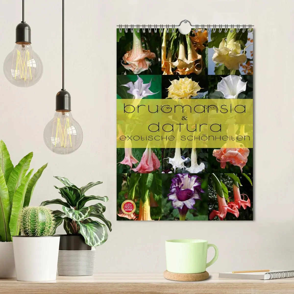 Bild: 9783516470796 | Brugmansia &amp; Datura - Exotische Schönheiten (Wandkalender 2026 DIN...