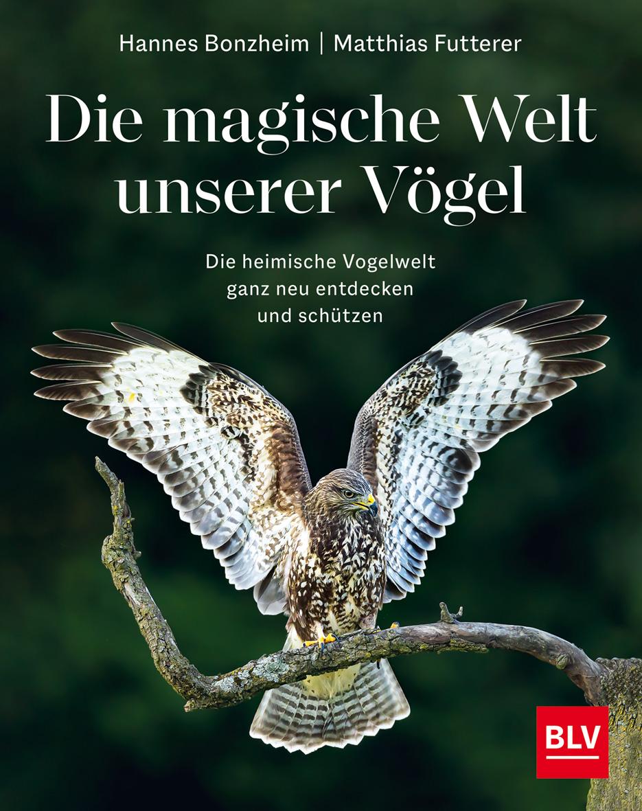Cover: 9783967470796 | Die magische Welt unserer Vögel | Hannes Bonzheim (u. a.) | Buch