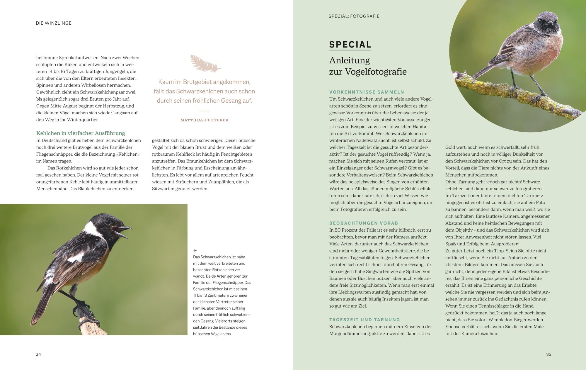 Bild: 9783967470796 | Die magische Welt unserer Vögel | Hannes Bonzheim (u. a.) | Buch