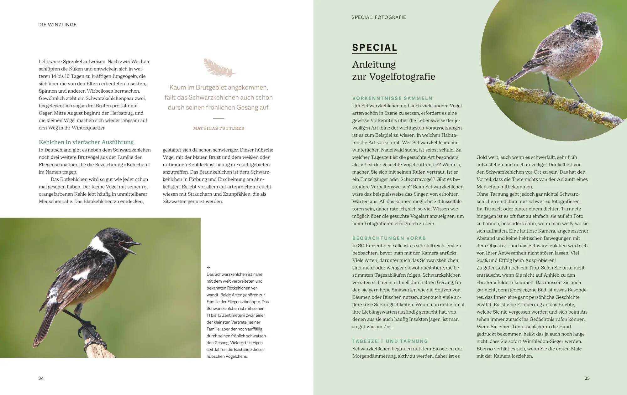 Bild: 9783967470796 | Die magische Welt unserer Vögel | Hannes Bonzheim (u. a.) | Buch | BLV