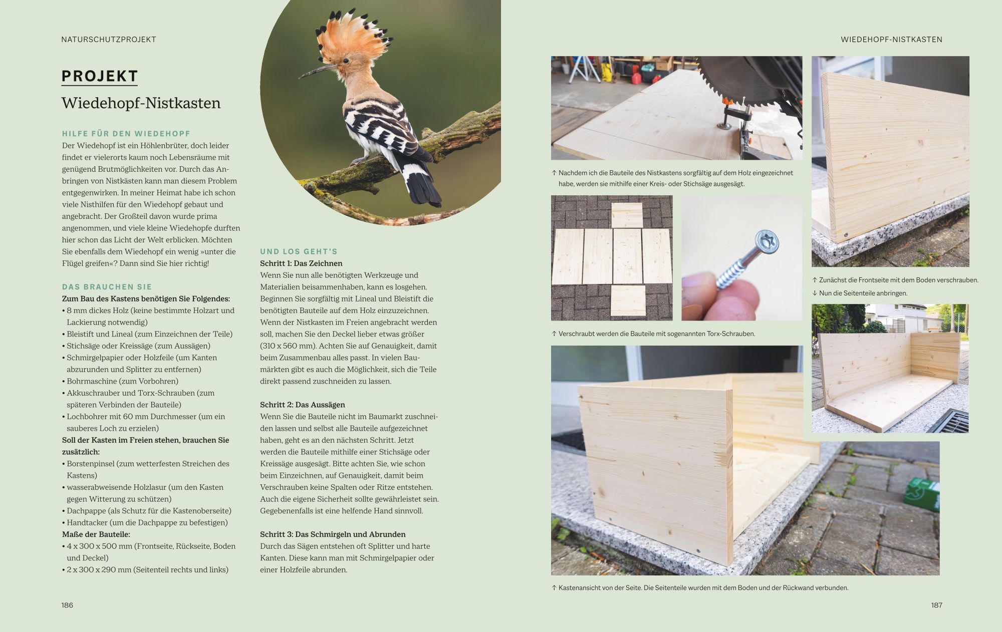 Bild: 9783967470796 | Die magische Welt unserer Vögel | Hannes Bonzheim (u. a.) | Buch