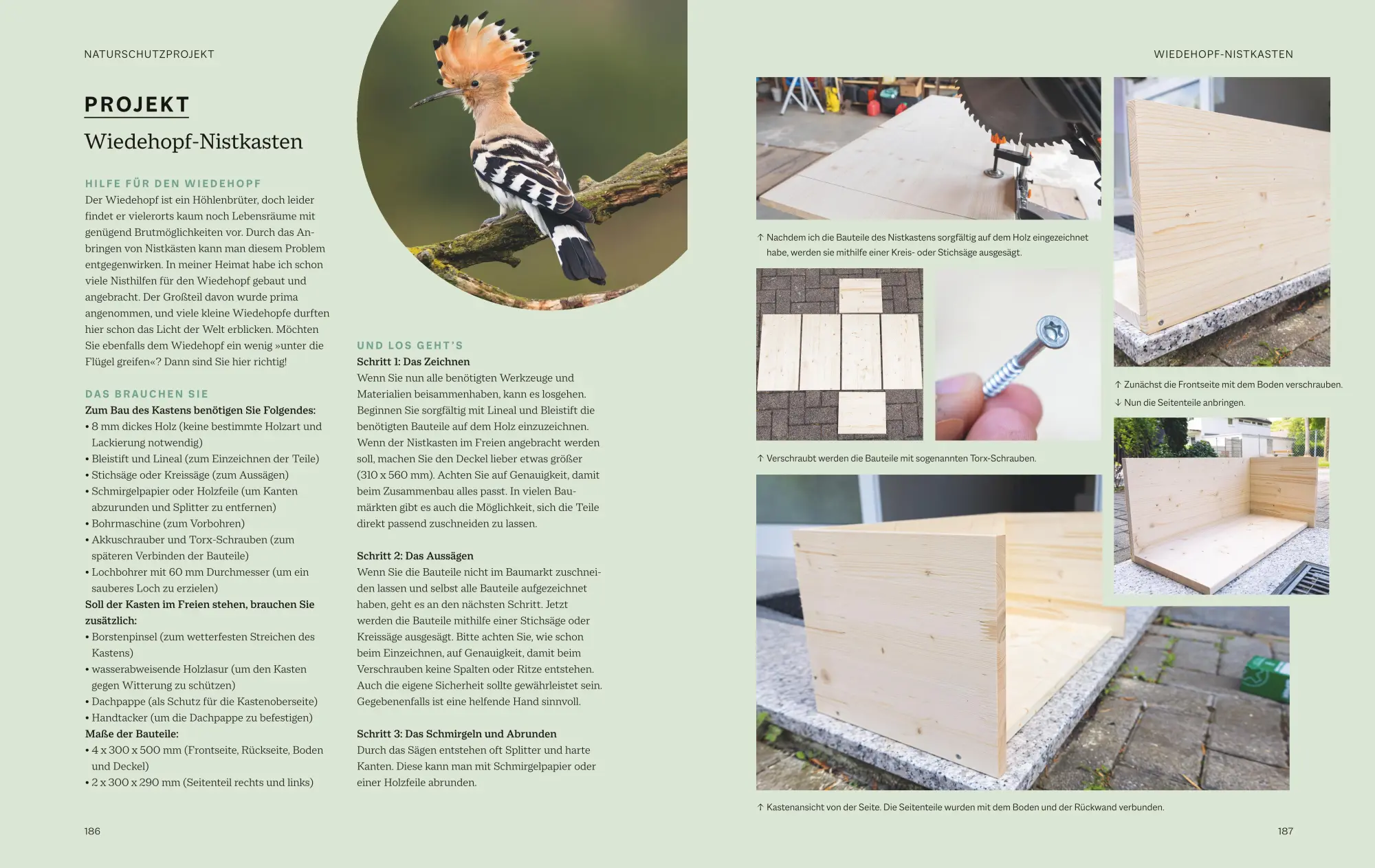 Bild: 9783967470796 | Die magische Welt unserer Vögel | Hannes Bonzheim (u. a.) | Buch | BLV