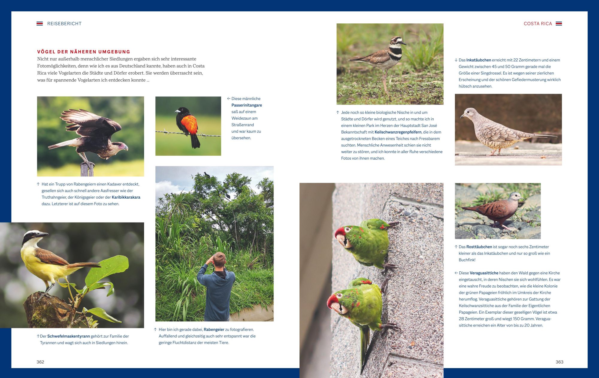Bild: 9783967470796 | Die magische Welt unserer Vögel | Hannes Bonzheim (u. a.) | Buch
