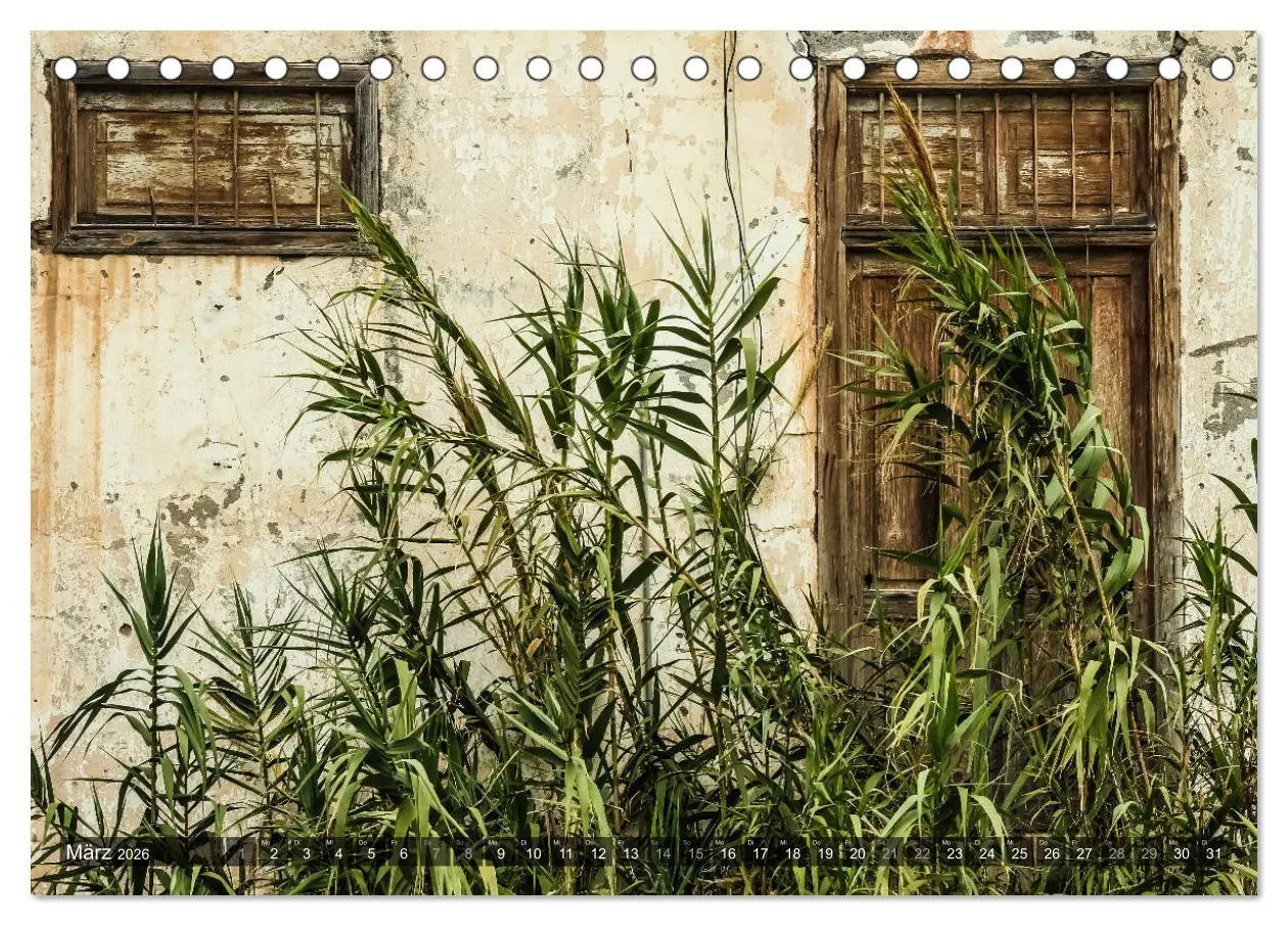 Bild: 9783516080896 | La Gomera 2026 - Eine Entdeckungsreise (Tischkalender 2026 DIN A5...