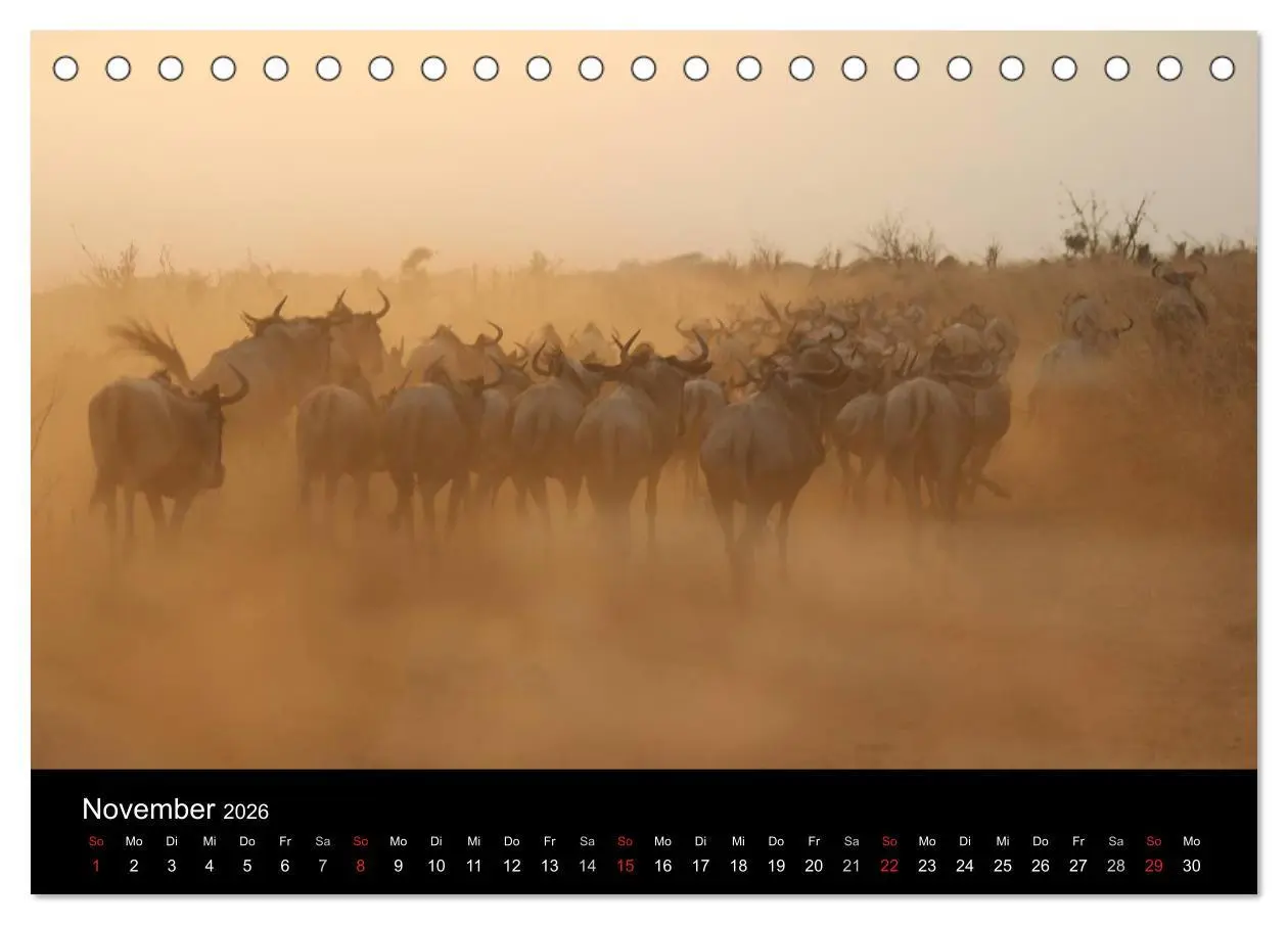 Bild: 9783516150896 | Tansania (Tischkalender 2026 DIN A5 quer), CALVENDO Monatskalender