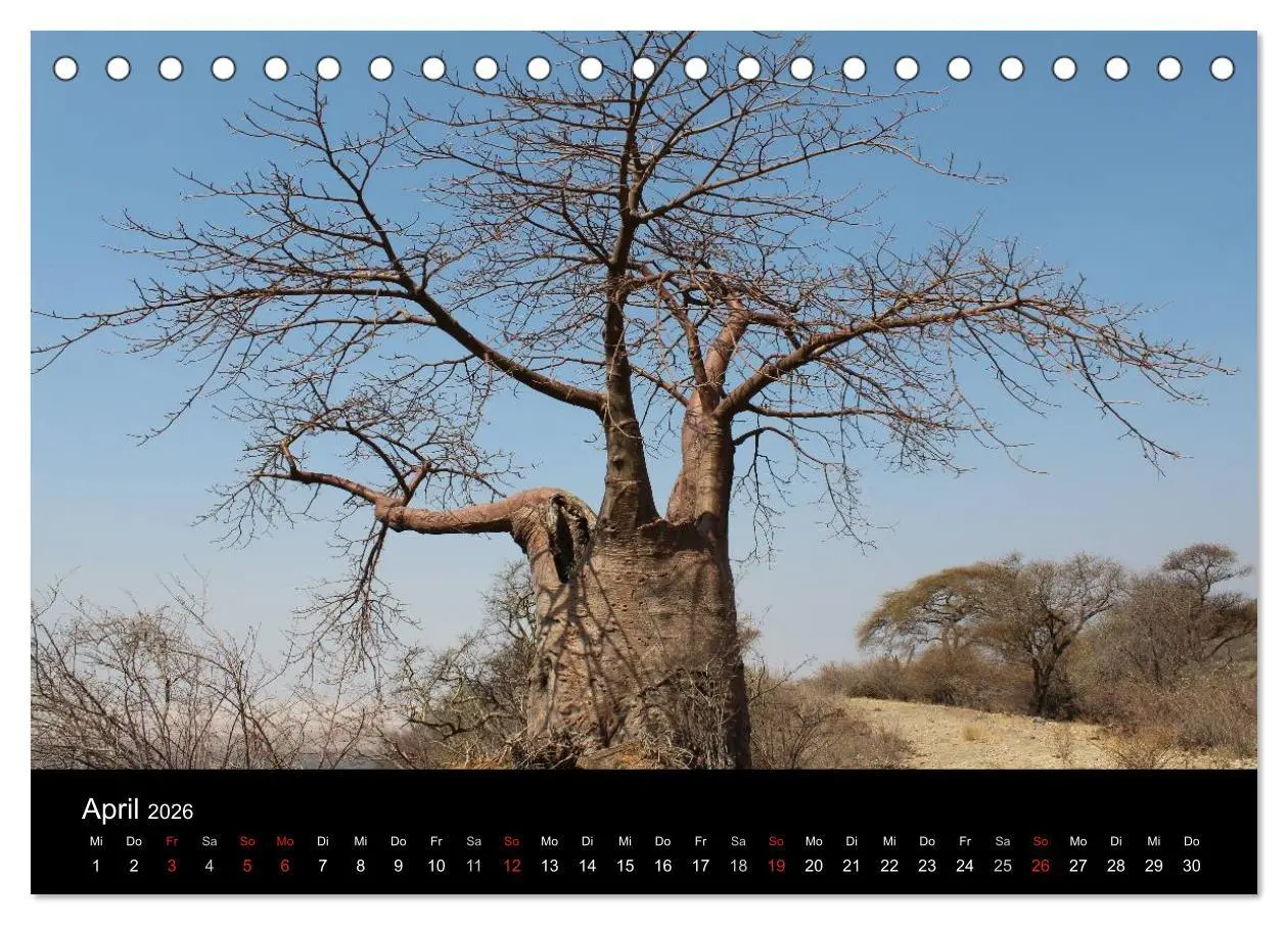 Bild: 9783516150896 | Tansania (Tischkalender 2026 DIN A5 quer), CALVENDO Monatskalender