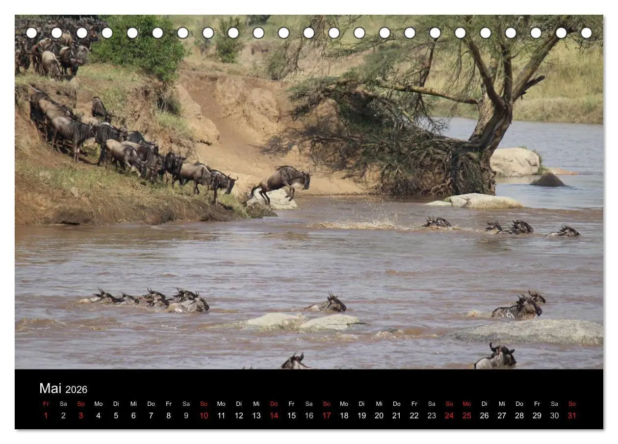 Bild: 9783516150896 | Tansania (Tischkalender 2026 DIN A5 quer), CALVENDO Monatskalender