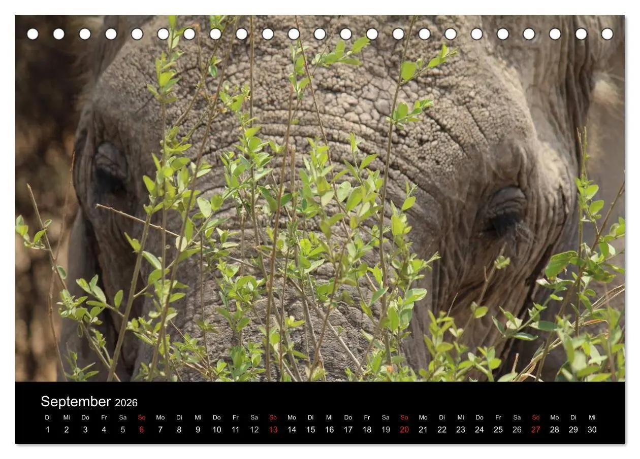Bild: 9783516150896 | Tansania (Tischkalender 2026 DIN A5 quer), CALVENDO Monatskalender