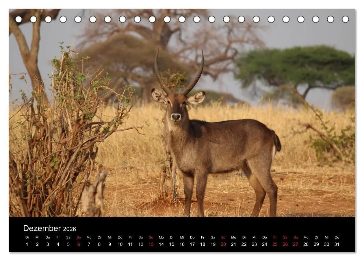 Bild: 9783516150896 | Tansania (Tischkalender 2026 DIN A5 quer), CALVENDO Monatskalender