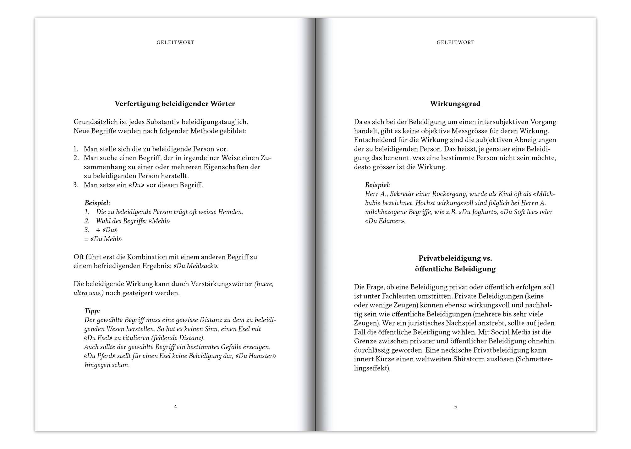 Bild: 9783952440896 | Maledicta - 143 Beleidigungen. | Flurina Schuler | Buch | 167 S.