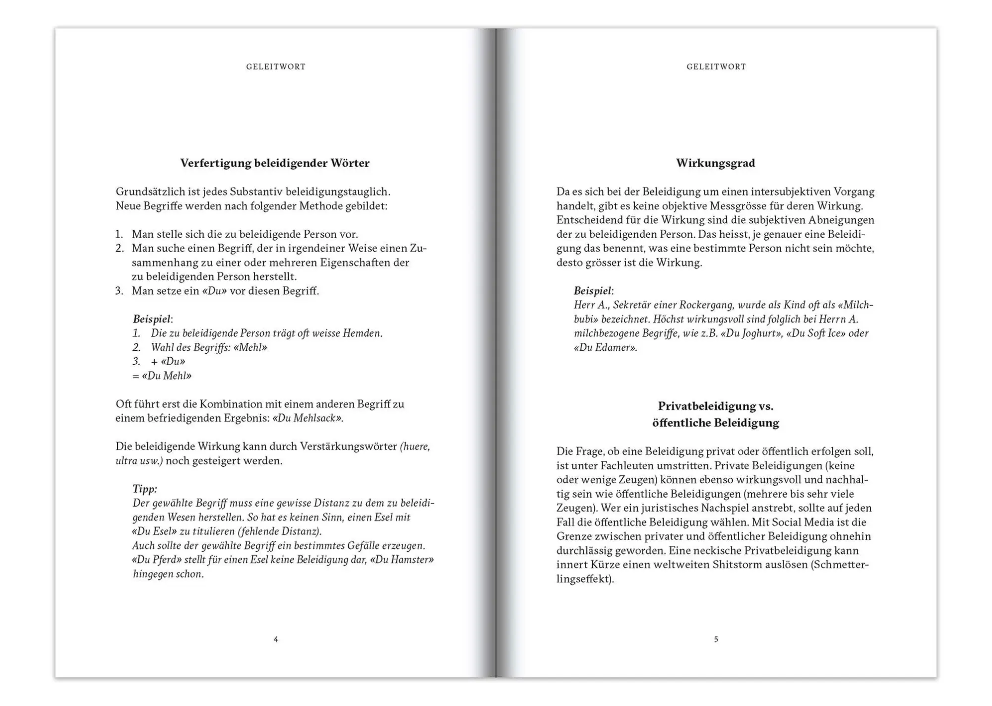 Bild: 9783952440896 | Maledicta - 143 Beleidigungen. | Flurina Schuler | Buch | 167 S.