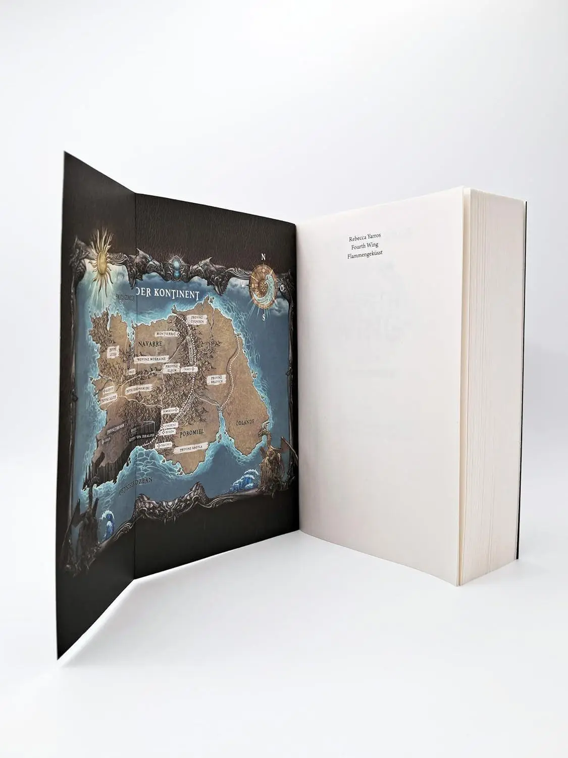 Bild: 9783423220996 | Fourth Wing - Flammengeküsst | Rebecca Yarros | Taschenbuch | 816 S.