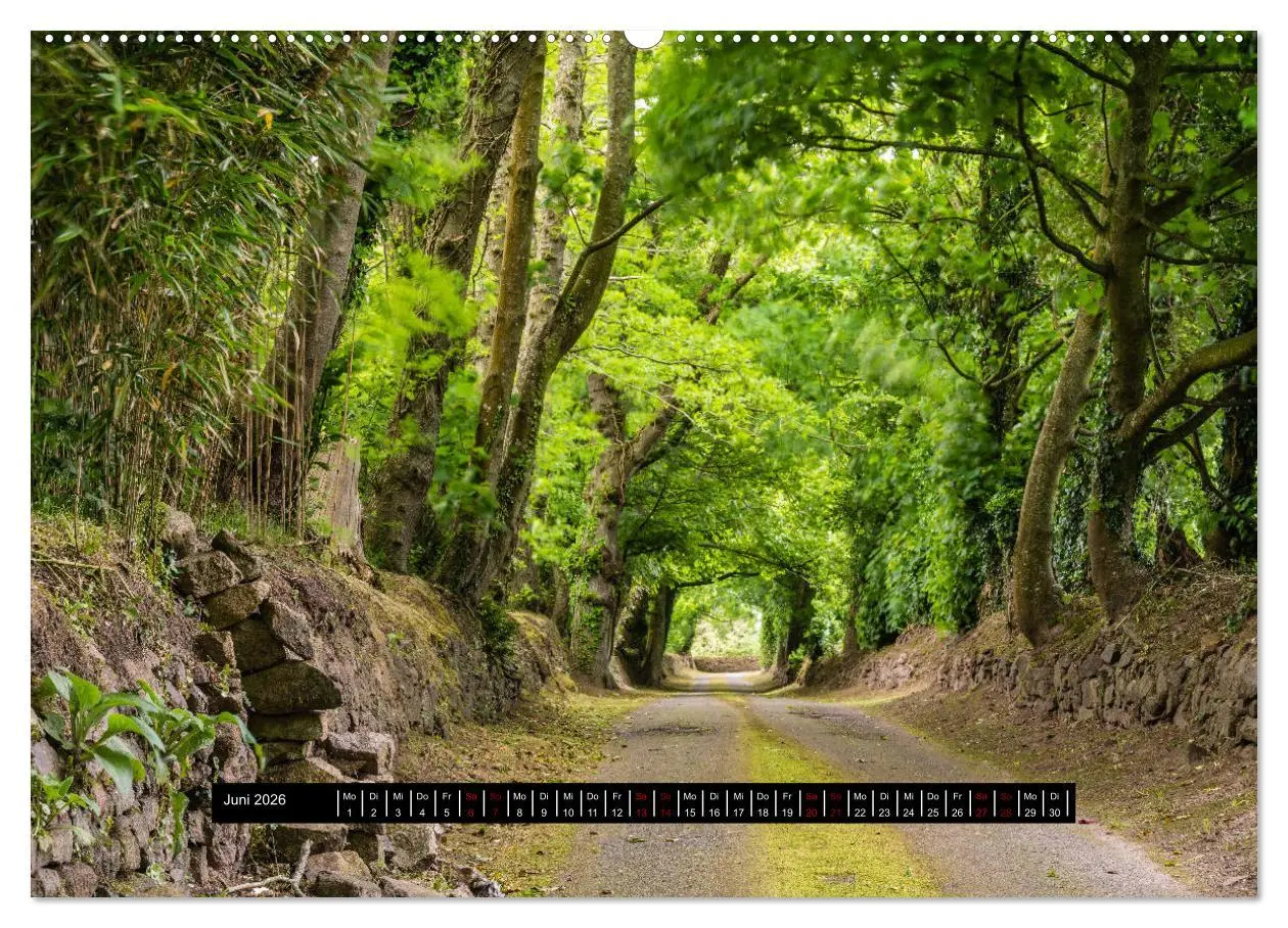 Bild: 9783457810996 | Jersey - Insel im Ärmelkanal (Wandkalender 2026 DIN A2 quer),...