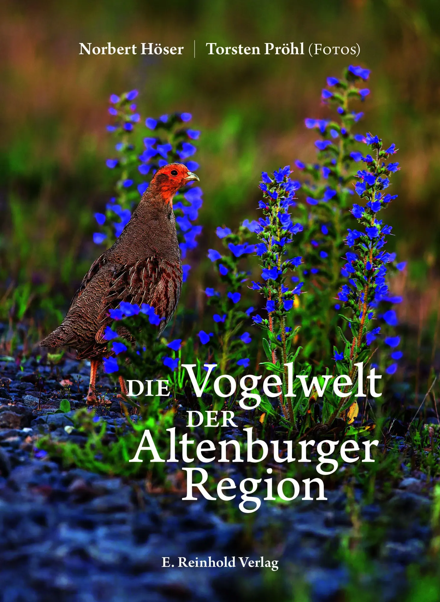 Cover: 9783957550996 | Die Vogelwelt der Altenburger Region | Norbert Höser | Buch | Deutsch