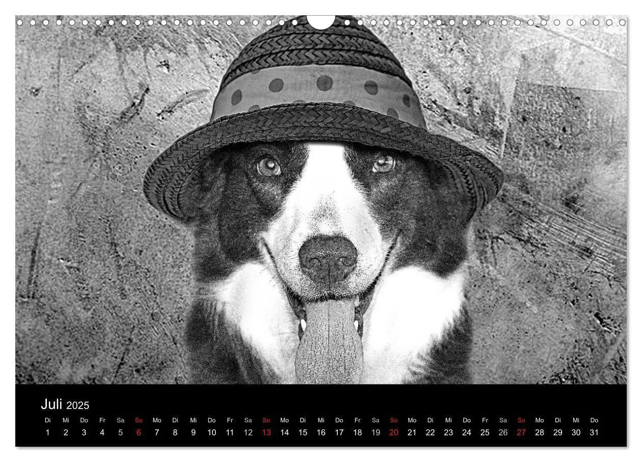 Bild: 9783435781096 | Hütehunde (Wandkalender 2025 DIN A3 quer), CALVENDO Monatskalender