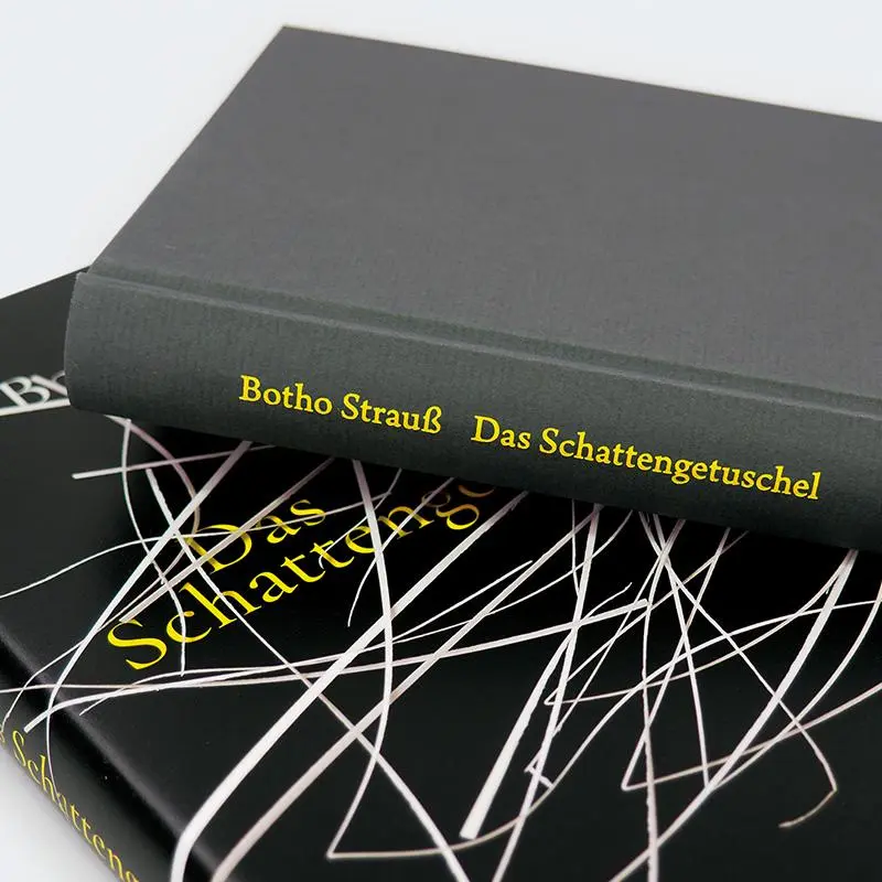 Bild: 9783446281196 | Das Schattengetuschel | Botho Strauß | Buch | 240 S. | Deutsch | 2024
