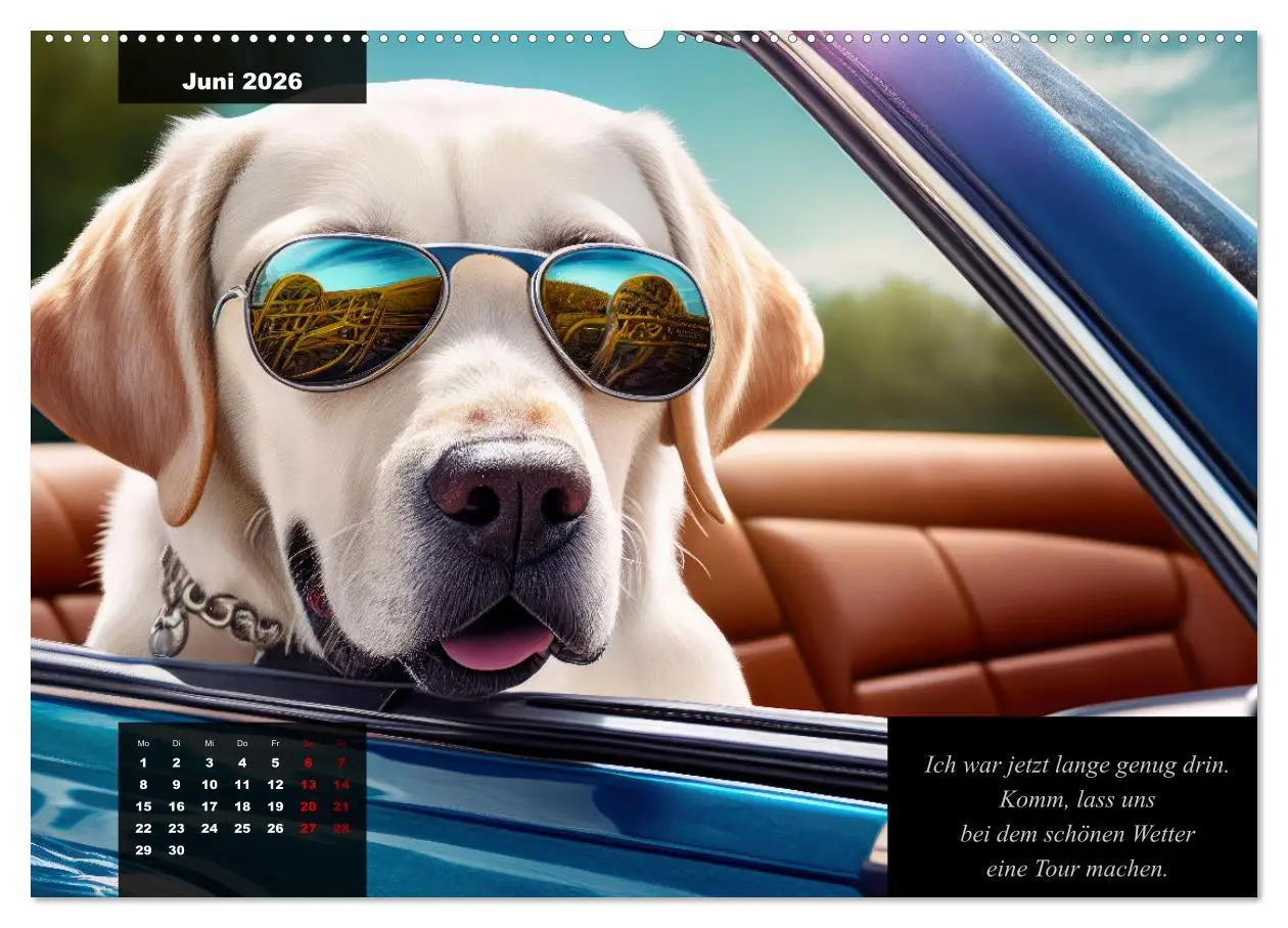 Bild: 9783457541296 | Der witzige Labrador-Kalender (Wandkalender 2026 DIN A2 quer),...