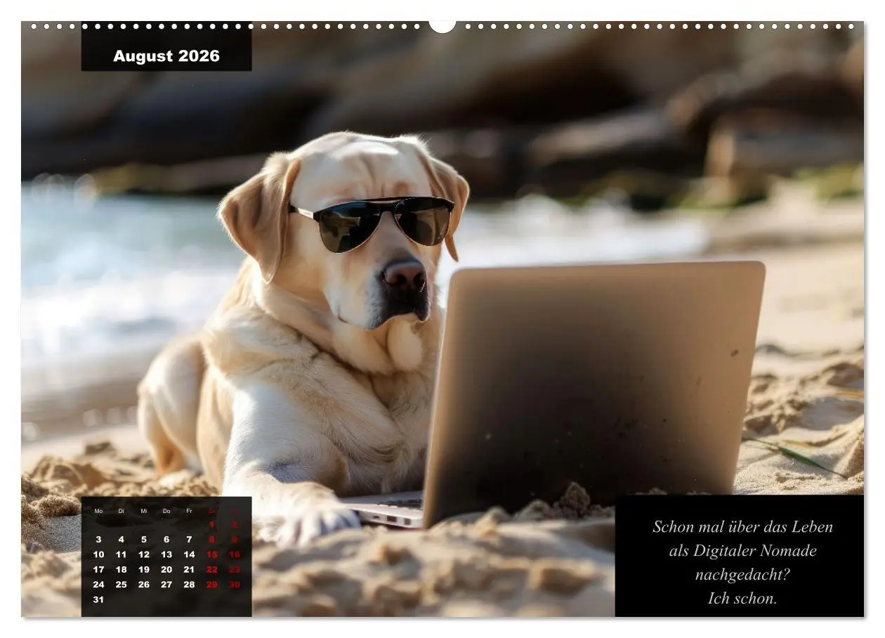 Bild: 9783457541296 | Der witzige Labrador-Kalender (Wandkalender 2026 DIN A2 quer),...