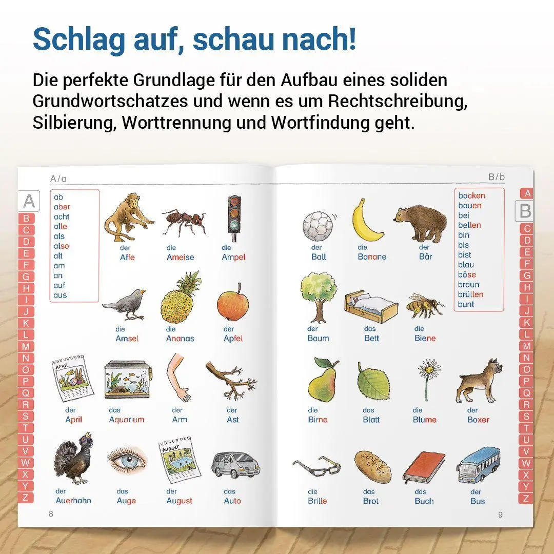 Bild: 9783619141296 | Das Wörterbuch für die Grundschule | Edmund Wetter (u. a.) | Buch