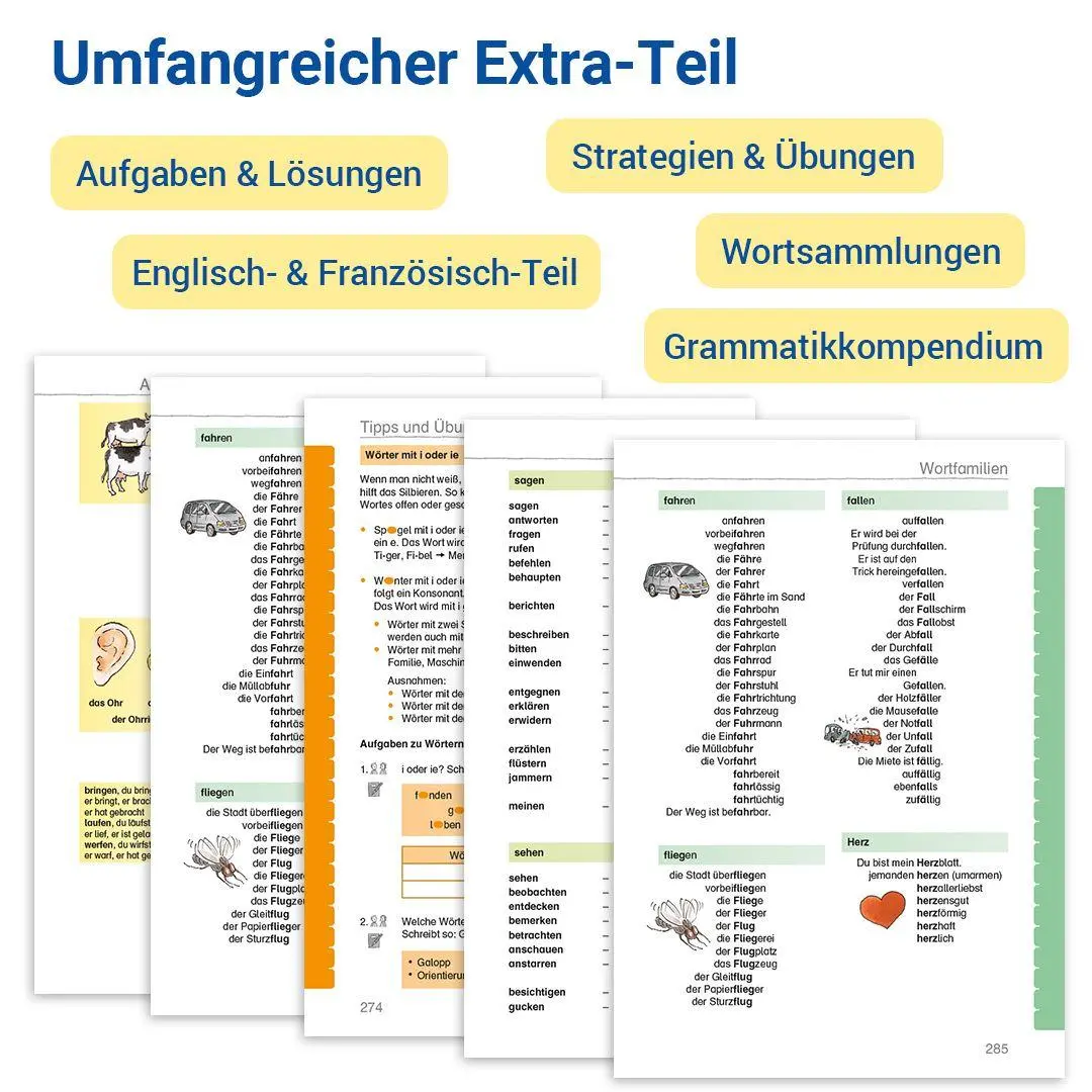 Bild: 9783619141296 | Das Wörterbuch für die Grundschule | Edmund Wetter (u. a.) | Buch