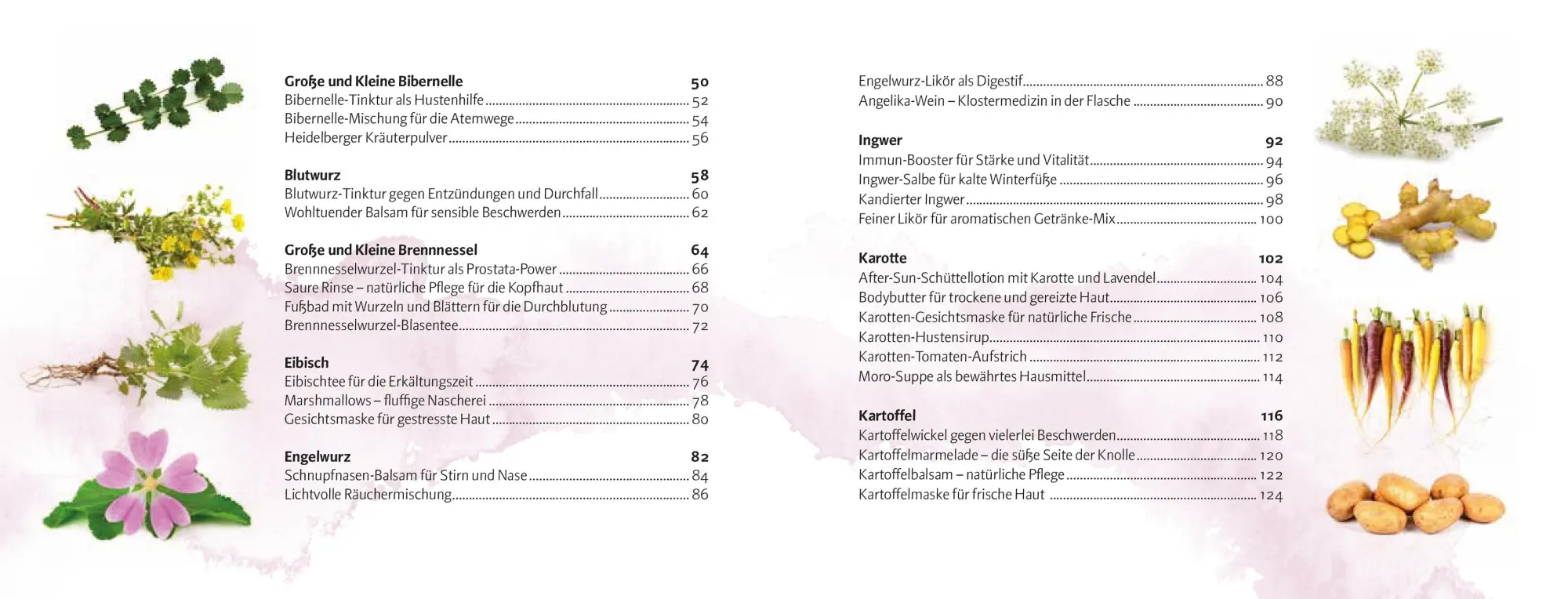 Bild: 9783702511296 | Wurzeln und Knollen | Doris Kern | Buch | 256 S. | Deutsch | 2024