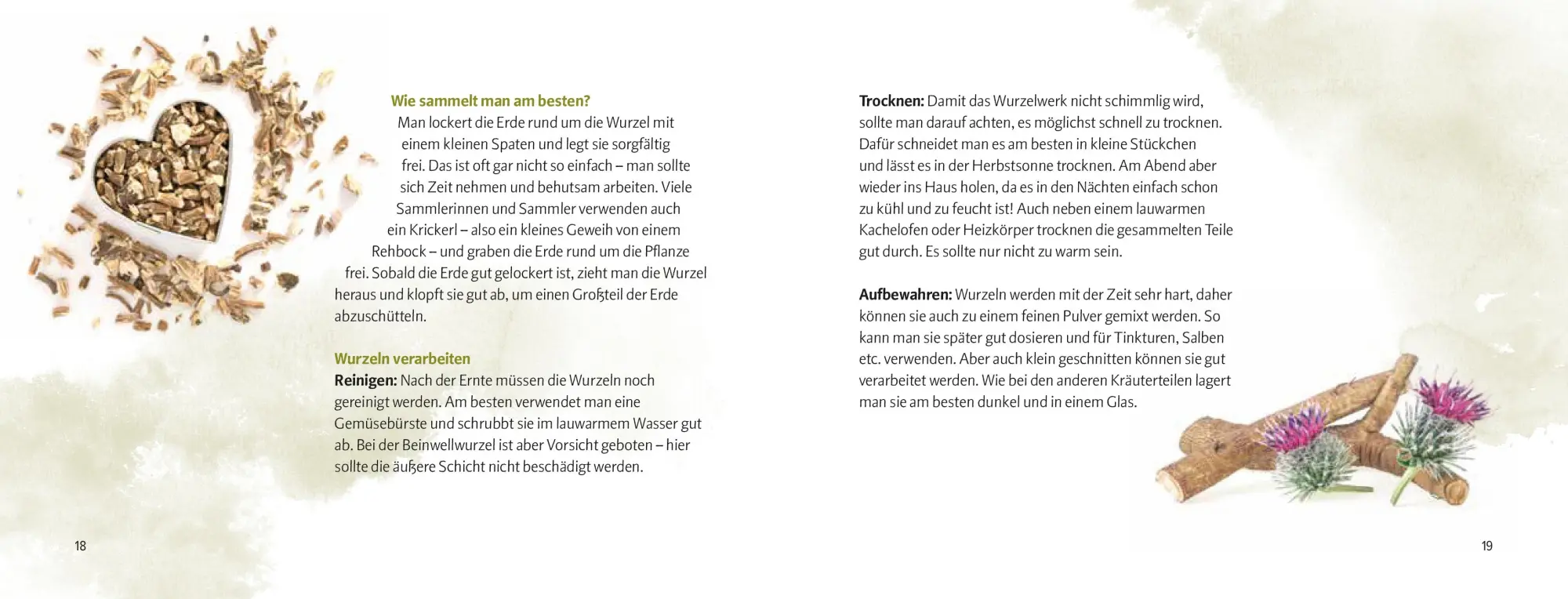 Bild: 9783702511296 | Wurzeln und Knollen | Doris Kern | Buch | 256 S. | Deutsch | 2024