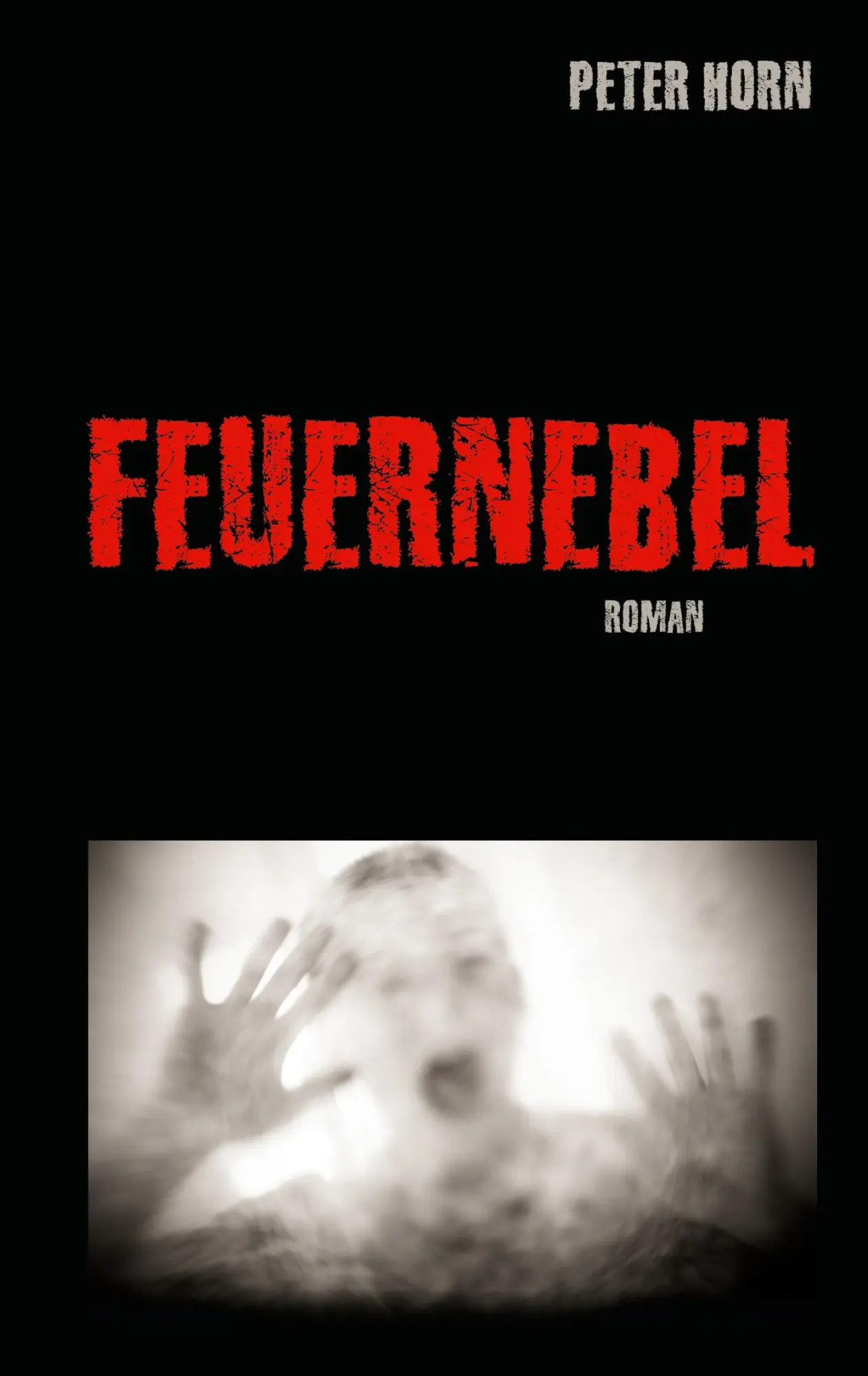 Cover: 9783759731296 | Feuernebel | Peter Horn | Buch | HC gerader Rücken kaschiert | 144 S.