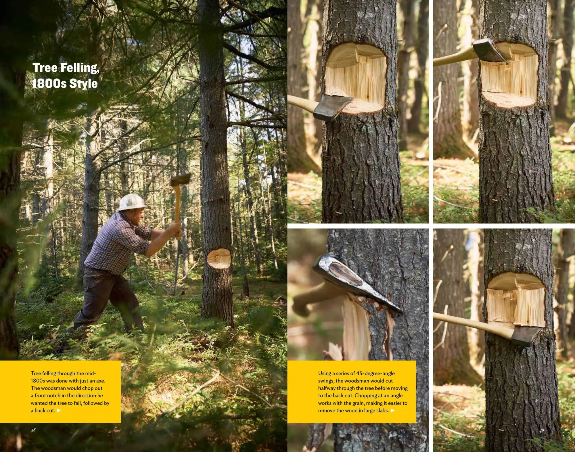 Bild: 9781635861396 | American Axe | The Tool That Shaped a Continent | Brett McLeod | Buch