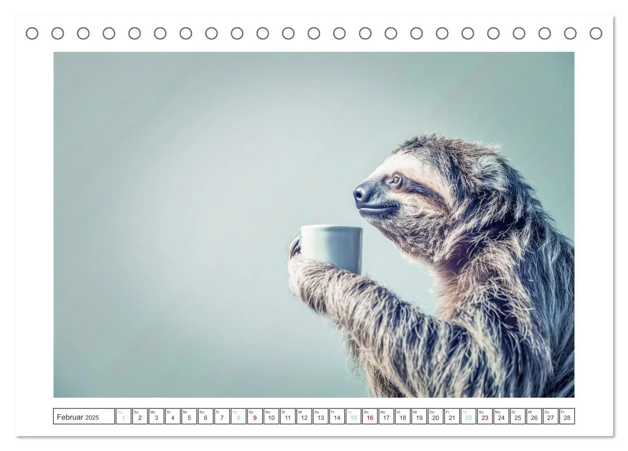 Bild: 9783457151396 | Snoozers Träumende Abenteuer (Tischkalender 2025 DIN A5 quer),...