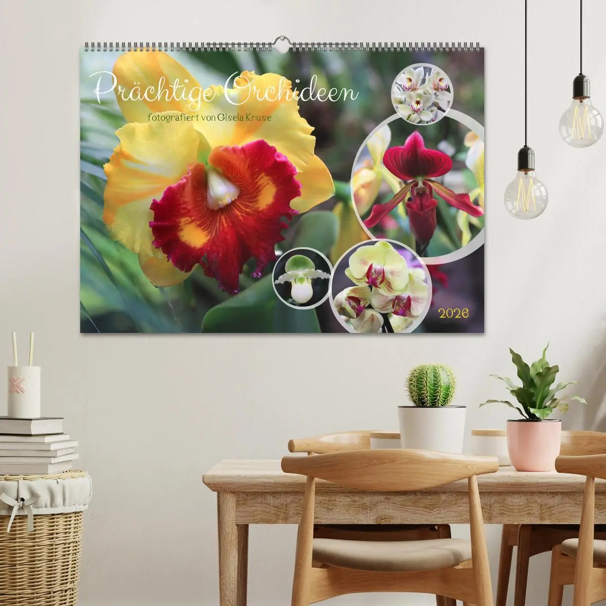 Bild: 9783457461396 | Prächtige Orchideen (Wandkalender 2026 DIN A2 quer), CALVENDO...