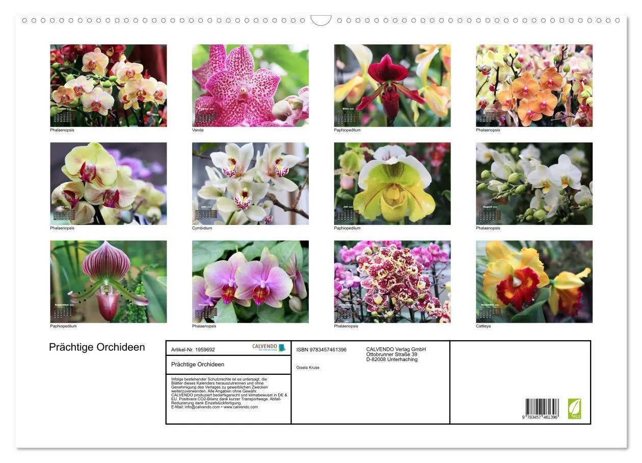 Bild: 9783457461396 | Prächtige Orchideen (Wandkalender 2026 DIN A2 quer), CALVENDO...