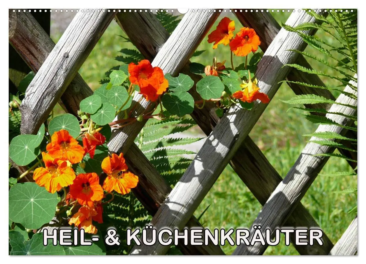 Cover: 9783516171396 | Heil- und Küchenkräuter (Wandkalender 2026 DIN A2 quer), CALVENDO...