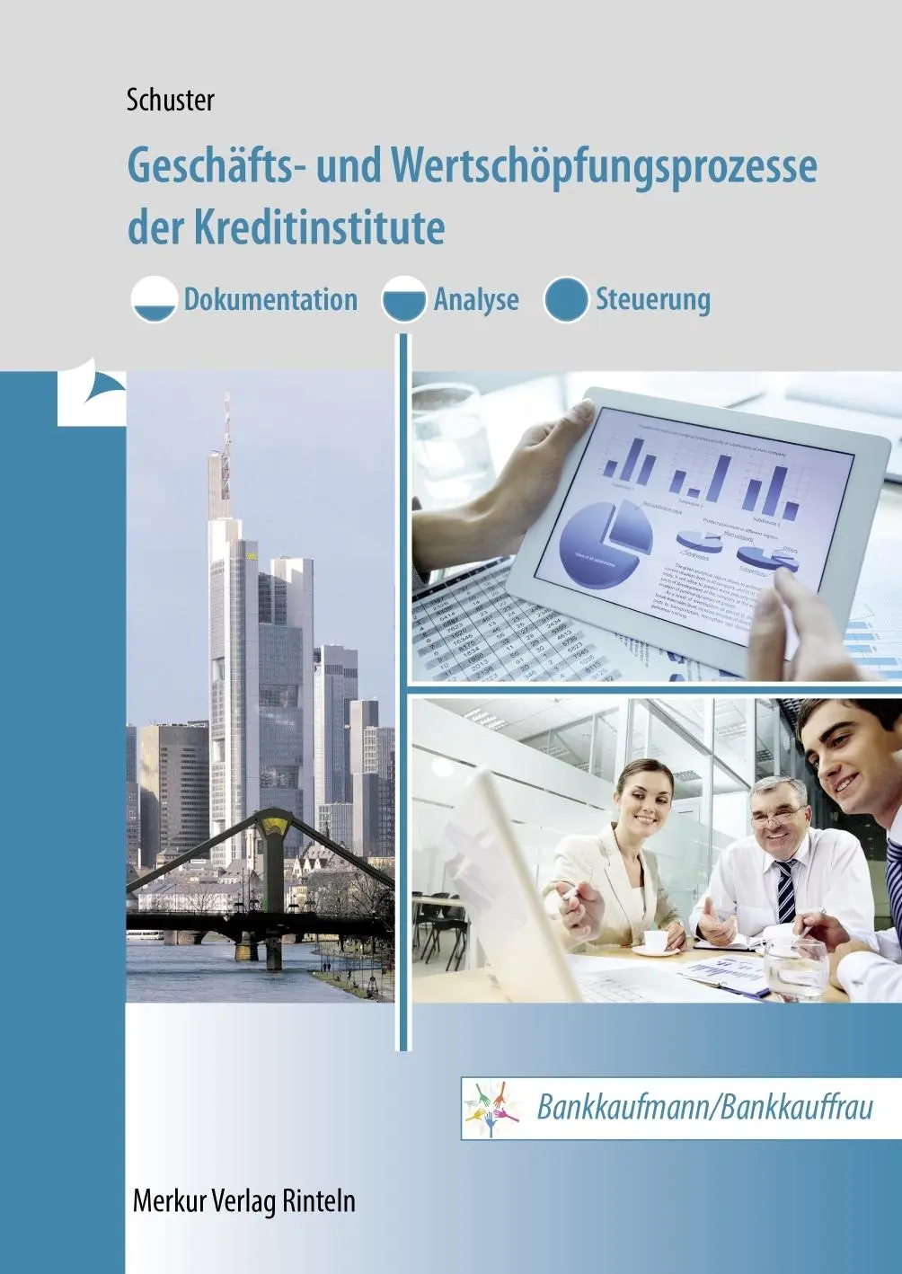 Cover: 9783812011396 | Geschäfts- und Wertschöpfungsprozesse der Kreditinstitute | Schuster
