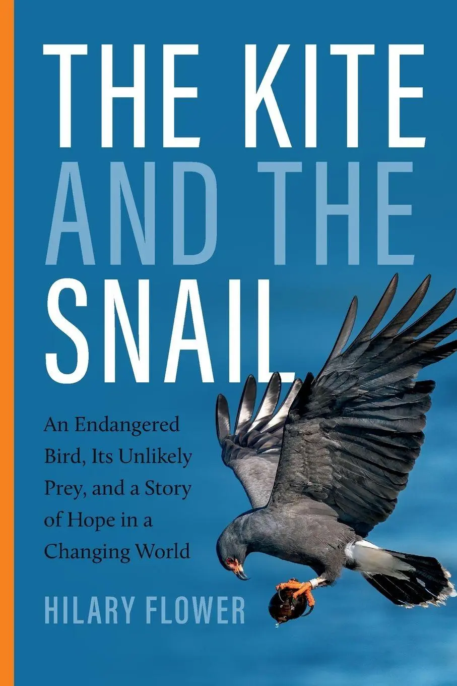 Cover: 9780813081496 | The Kite and the Snail | Hilary Flower | Taschenbuch | Englisch | 2026
