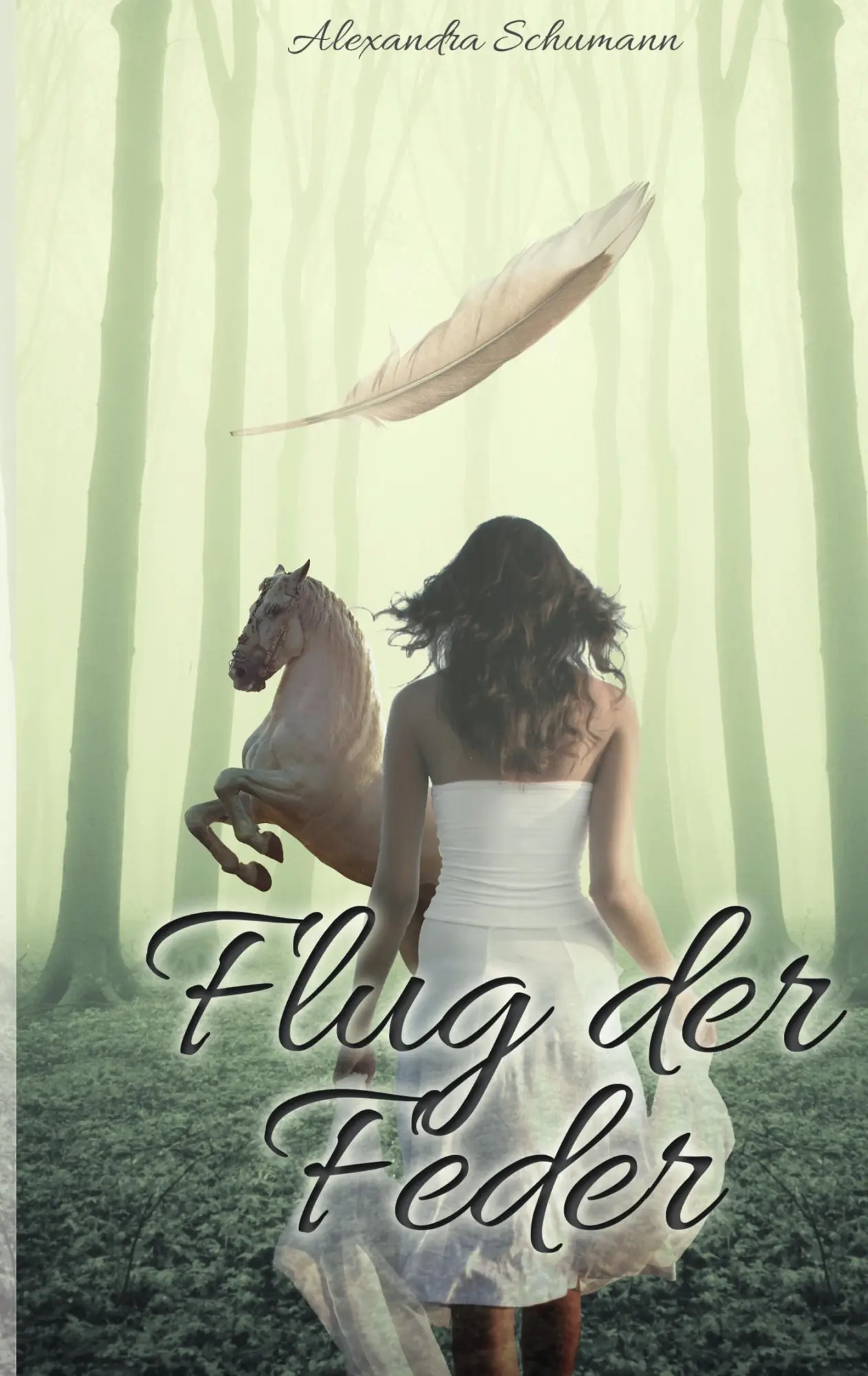 Cover: 9783743181496 | Flug der Feder | Alexandra Schumann | Taschenbuch | 336 S. | Deutsch
