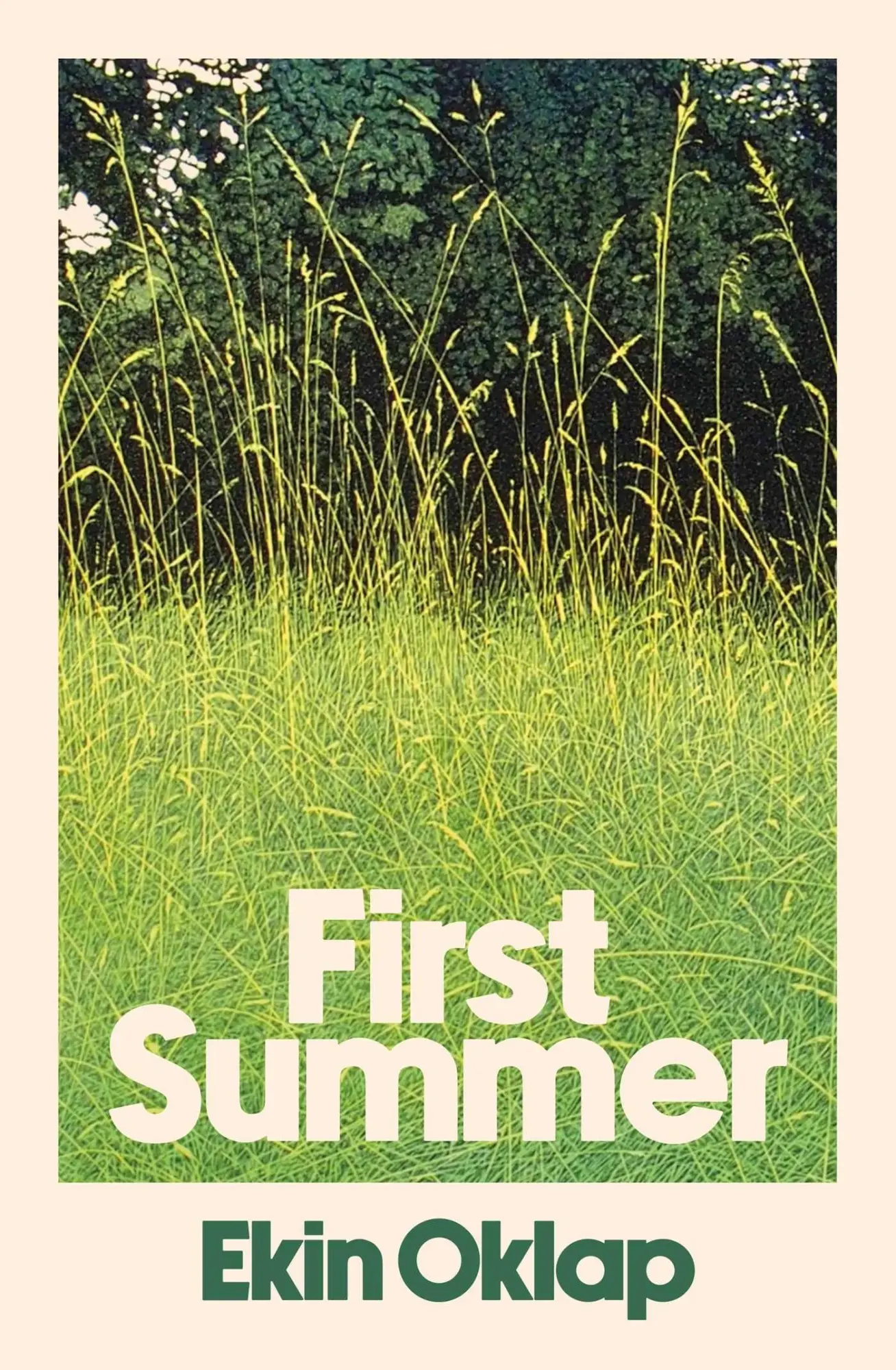 Cover: 9781398551596 | First Summer | Ekin Oklap | Taschenbuch | Summit Books UK | 196 S.
