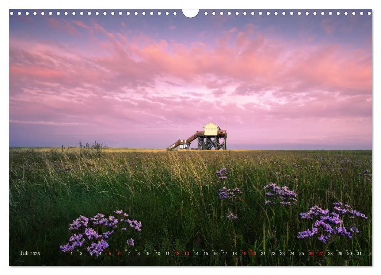 Bild: 9783383951596 | Wunderschönes Eiderstedt (Wandkalender 2025 DIN A3 quer), CALVENDO...