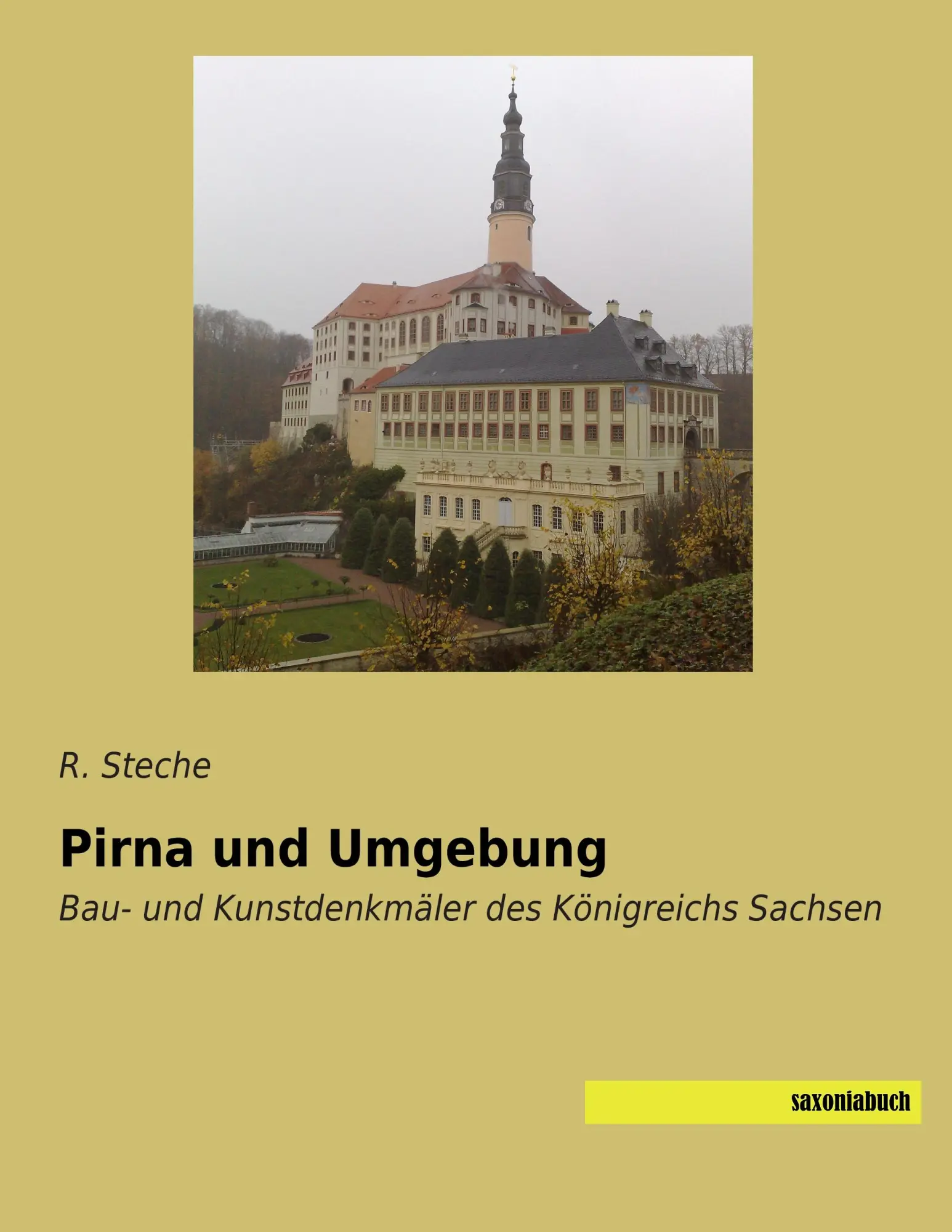 Cover: 9783957701596 | Pirna und Umgebung | Bau- und Kunstdenkmäler des Königreichs Sachsen
