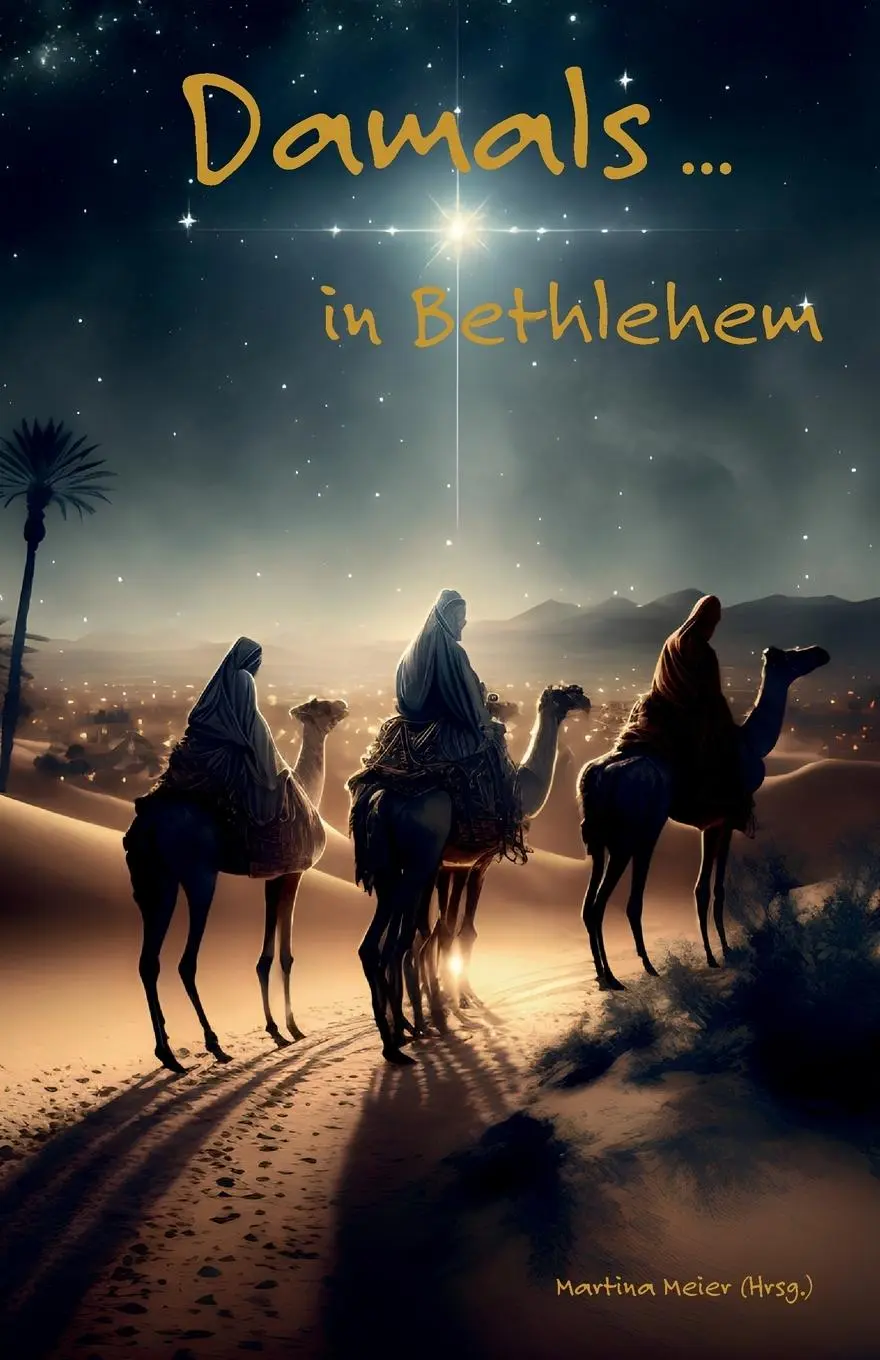 Cover: 9783990511596 | Damals ... in Bethlehem | Martina Meier | Taschenbuch | 160 S. | 2024