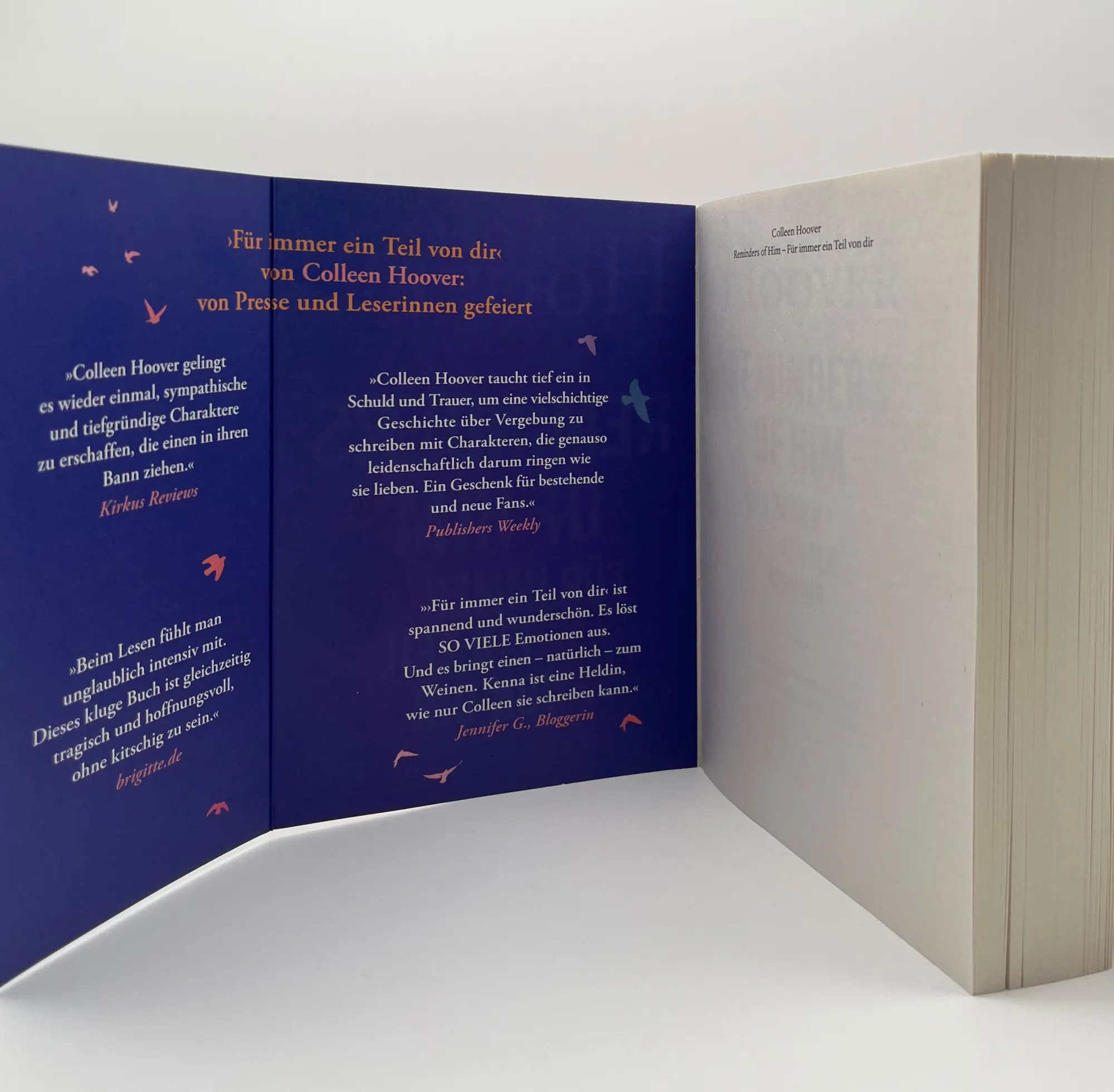 Bild: 9783423221696 | Reminders of Him - Für immer ein Teil von dir | Colleen Hoover | Buch