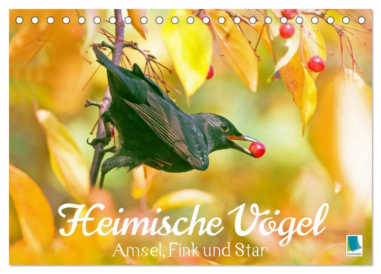 Cover: 9783457501696 | Amsel, Fink und Star: Heimische Vögel (Tischkalender 2026 DIN A5...