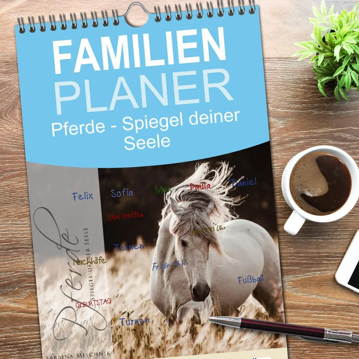 Bild: 9783516521696 | Familienplaner 2026 - Spiegel deiner Seele mit 5 Spalten...