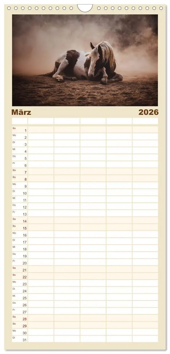 Bild: 9783516521696 | Familienplaner 2026 - Spiegel deiner Seele mit 5 Spalten...