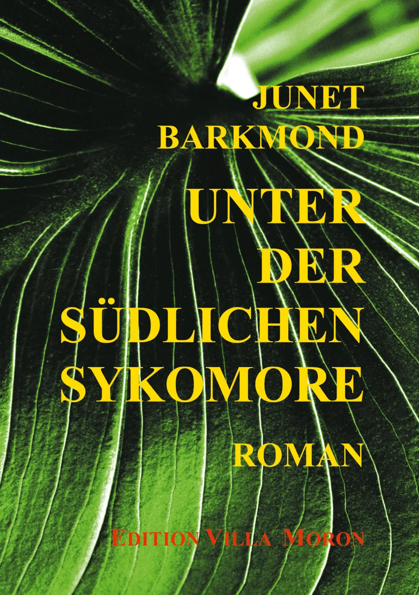 Unter der südlichen Sykomore