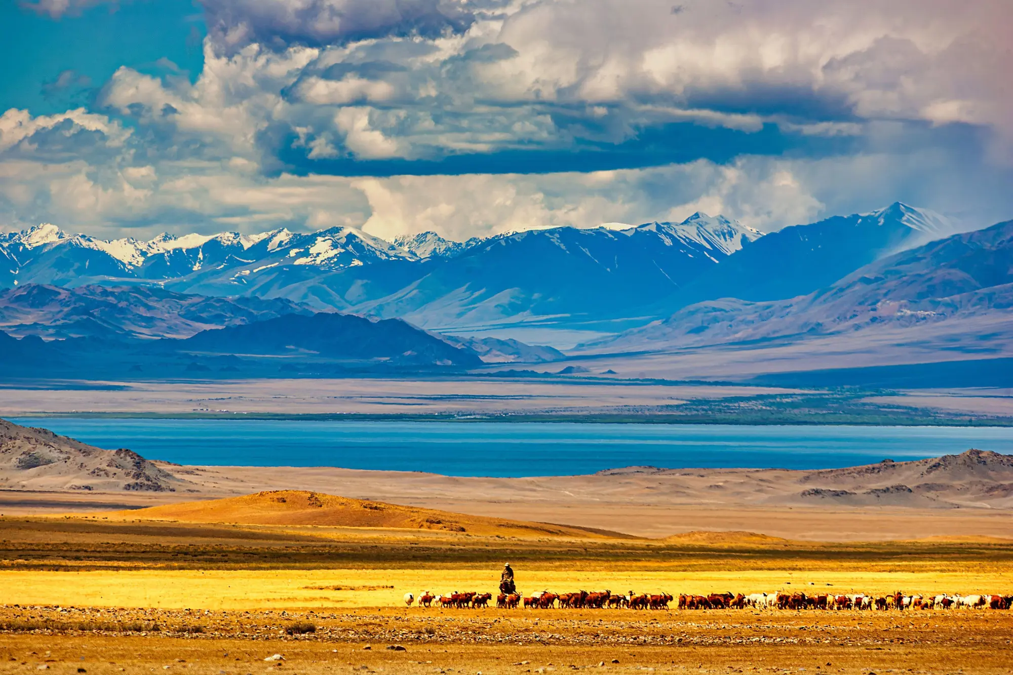 Bild: 9783987011696 | Mongolei | Unvergessliche Entdeckungen im Land der Horizonte | Buch