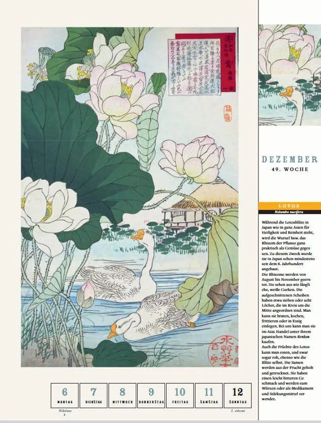 Bild: 9783799521796 | Thorbeckes Japanische-Gärten-Kalender 2027 | Kalender | 56 S. | 2027